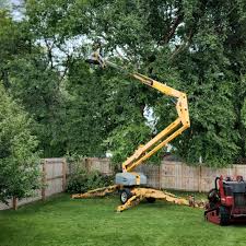 Best Commercial Tree Services  in Arlington, NY